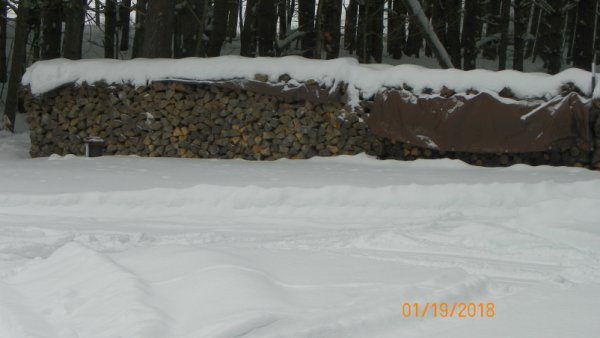 101_0080b.JPG