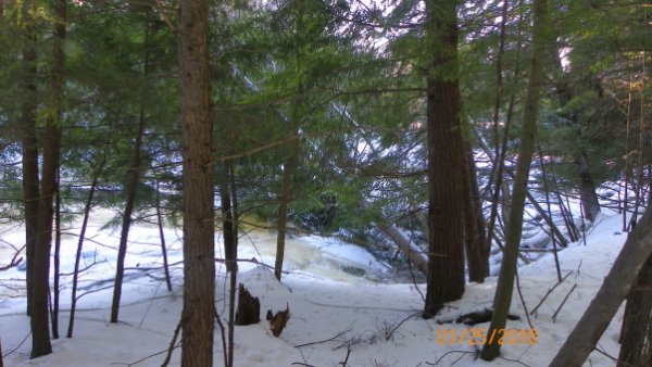 101_0103b.JPG
