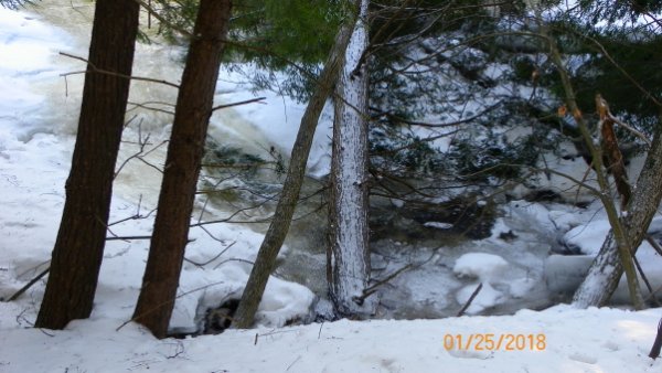 101_0104b.JPG