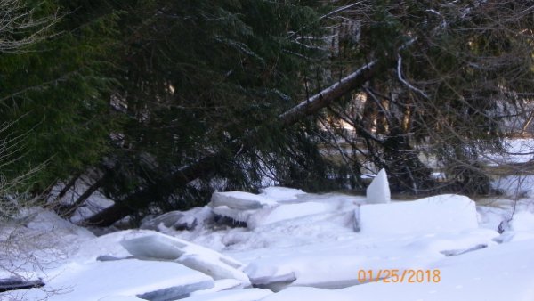 101_0108b.JPG