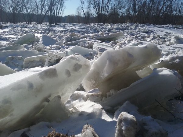 20180126_103854.jpg