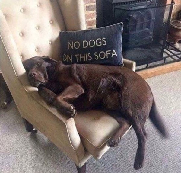 its-not-even-a-sofa.jpg