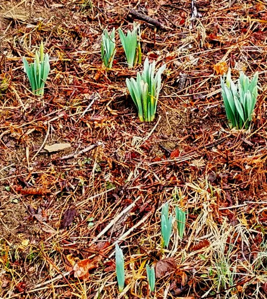 20180128_123942.jpg