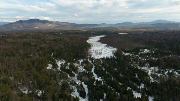 DJI950020.jpg