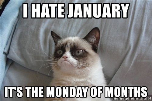 i-hate-january-its-the-monday-of-months.jpg