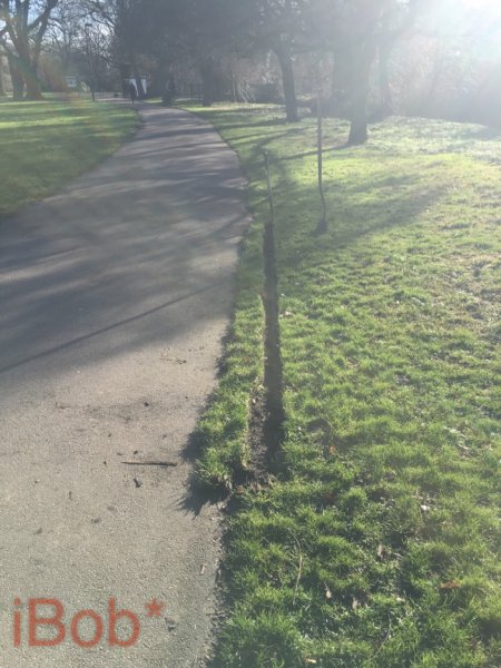 paths of glory 1_Watermarked_1.JPG