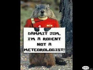 Star Trek Groundhog day funny meme rodent not a meteorologist.jpg