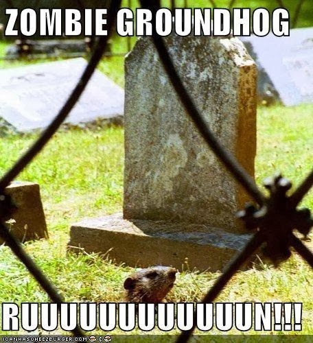 48339-Groundhog-day-meme-zombie-grou-clpU.jpeg