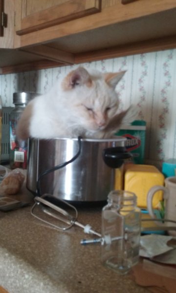 20180130_115828.jpg
