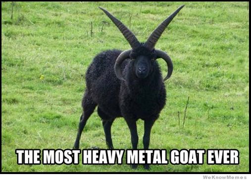 heavy-metal-goat.jpg