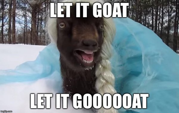 let-it-goat-memes.jpg