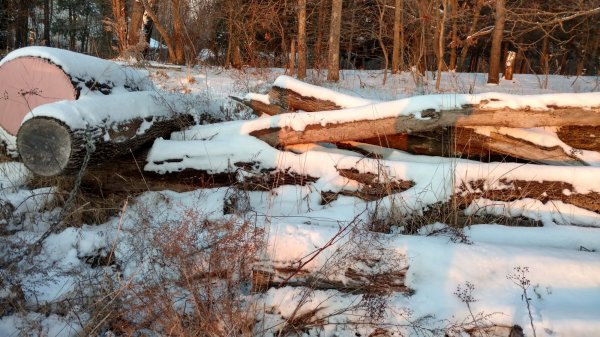 IMG_20180208_173712605_HDR.jpg