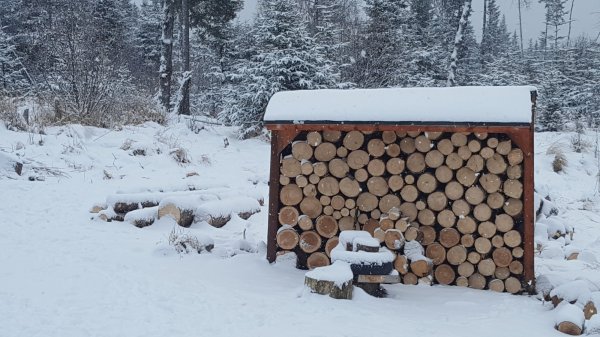 20180206_111314.jpg