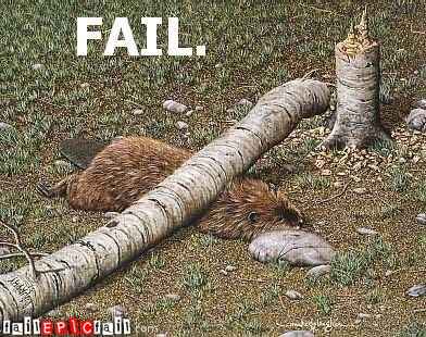beaver-fail-a-lil-help-theone-epic-fail-1290185073.jpg