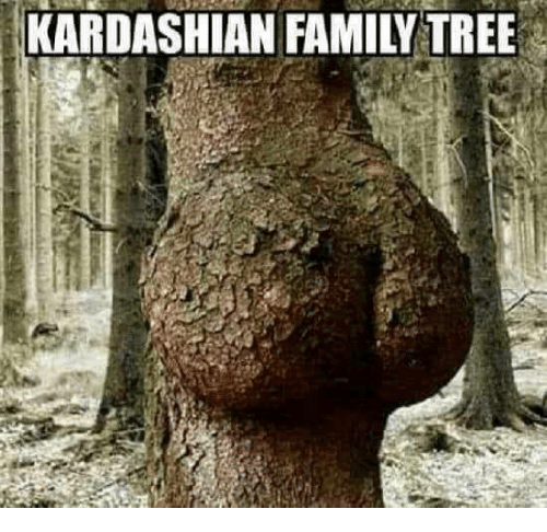 kardashian-family-tree-27983953.png