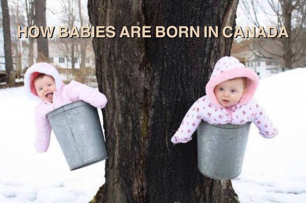 how-babies-are-born-in-canada-1459613479.jpg