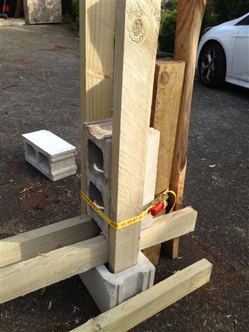 IMG_0738 (Small).JPG