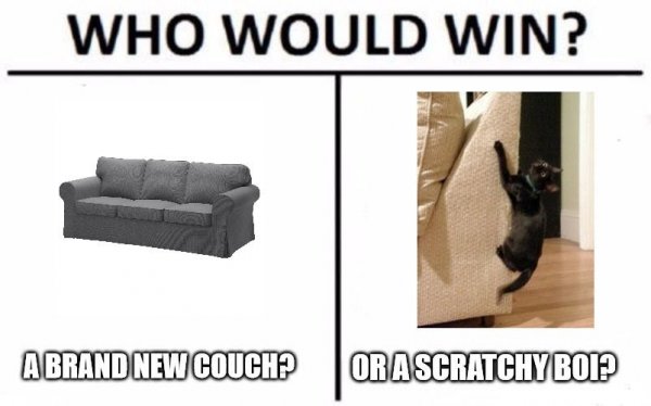 Esuzh3w.jpg