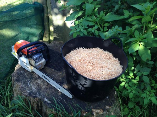 Noodles (Medium).JPG