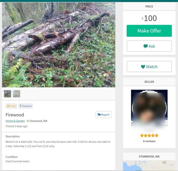 Slash Pile.jpg