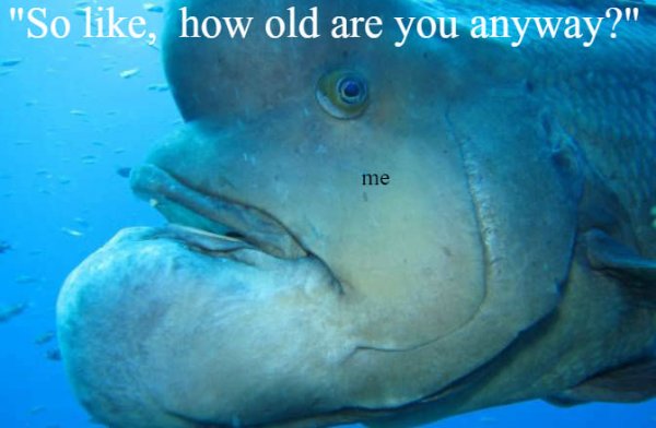 g8RhsTB.jpg