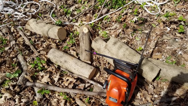 20170424_152950.jpg