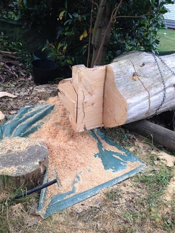 IMG_1502 (Small).JPG