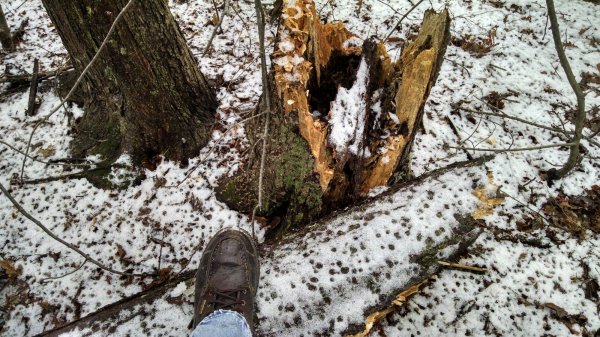 IMG_20180303_074856703_HDR.jpg