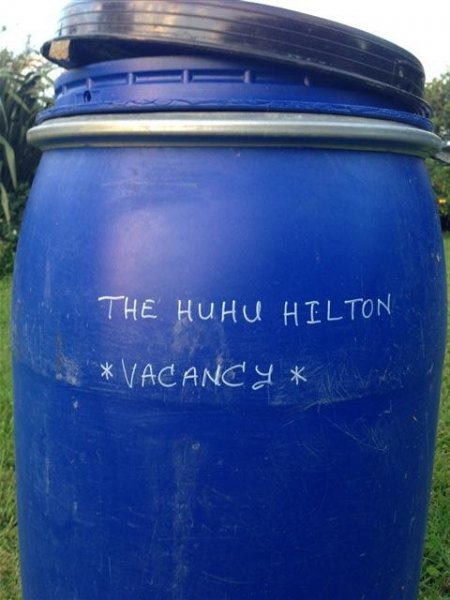 IMG_1512 (Small).JPG