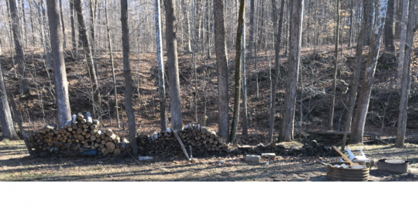 camp wood after2.png