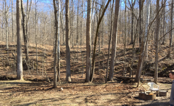 camp wood after after.png