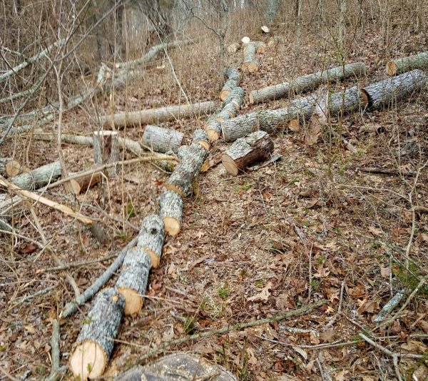 20180309_181826.jpg