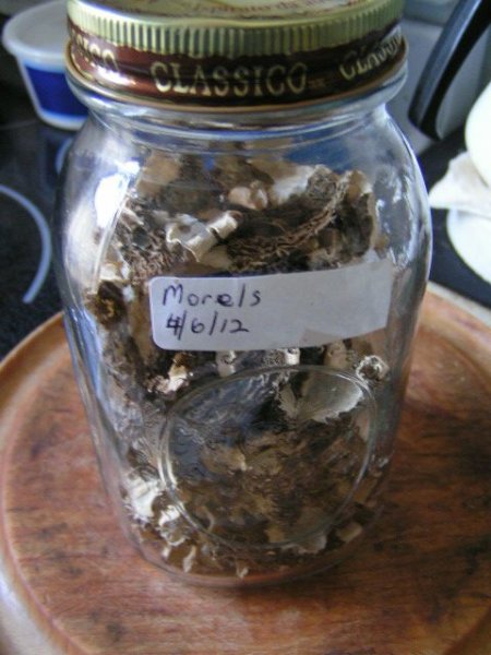 dried morels in mason jar 40612.jpg