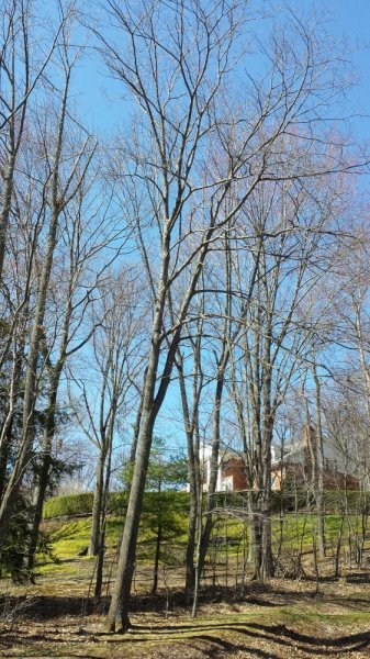 20140416_152209-1.jpg