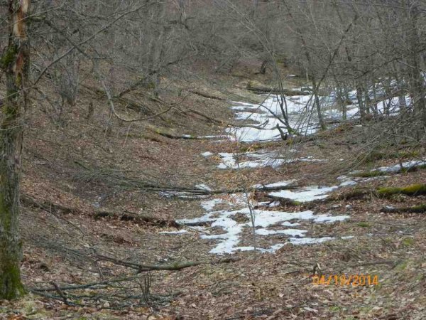 100_8930.JPG