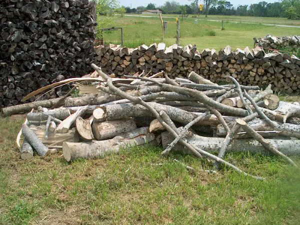 2014-04-20 14.12.06.jpg