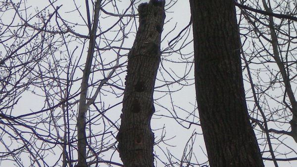 100_0010.JPG