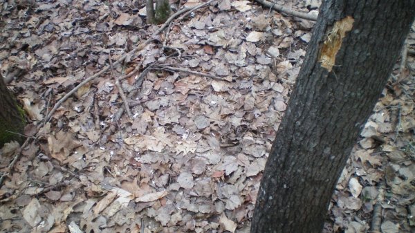 100_0012.JPG