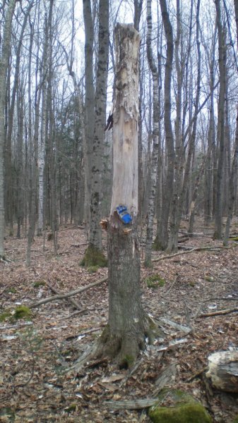 100_0007.JPG