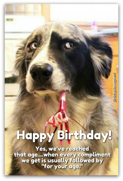 funny-birthday-wishes1A.jpg