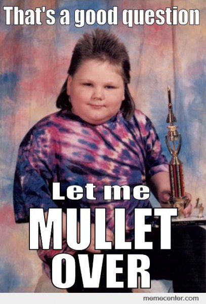 mullet-kid-o-94175_orig.jpg