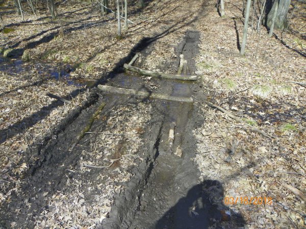 Mud lane-2.JPG