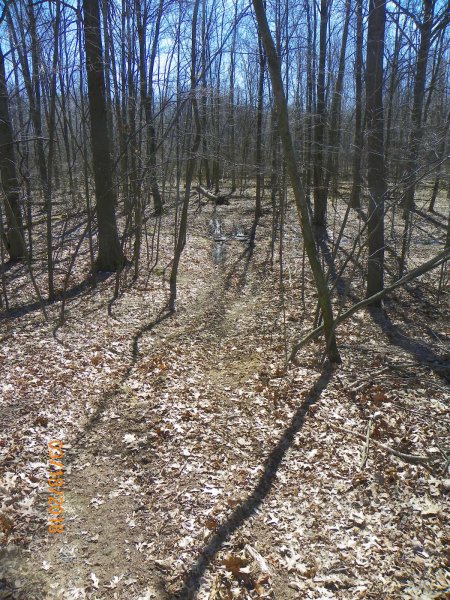 Mud lane-3.JPG