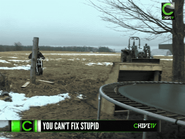 you-cant-fix-stupid-17-gifs-2.gif