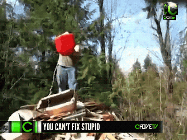 you-cant-fix-stupid-17-gifs-10.gif