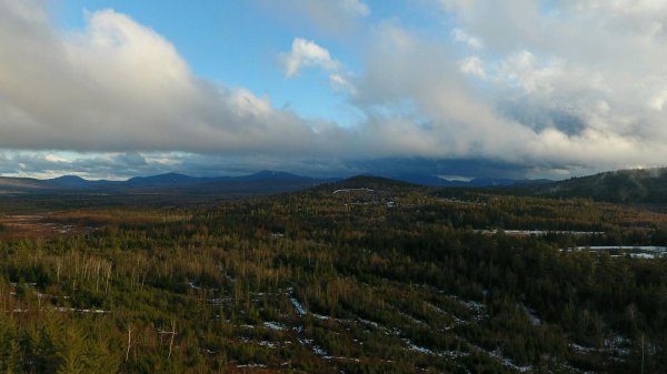 DJI950032.jpg