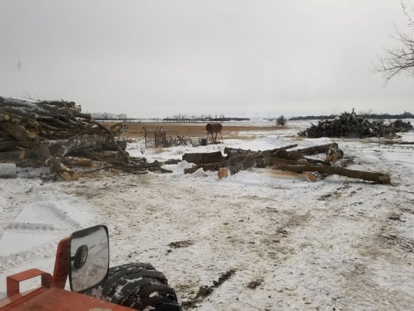 wood piles  (2).jpg