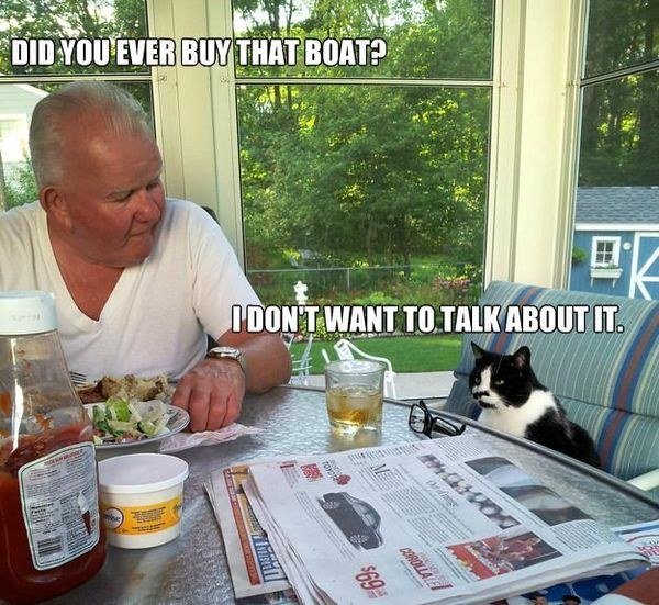 should-buy-boat-cat-funny-meme.jpg