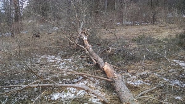cleanup-start-3.jpg