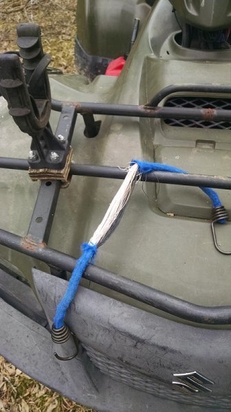bungee.jpg